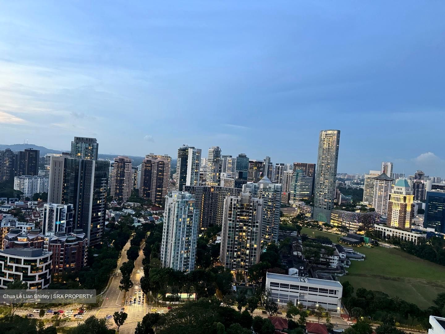 Irwell Hill Residences (D9), Apartment #521041431